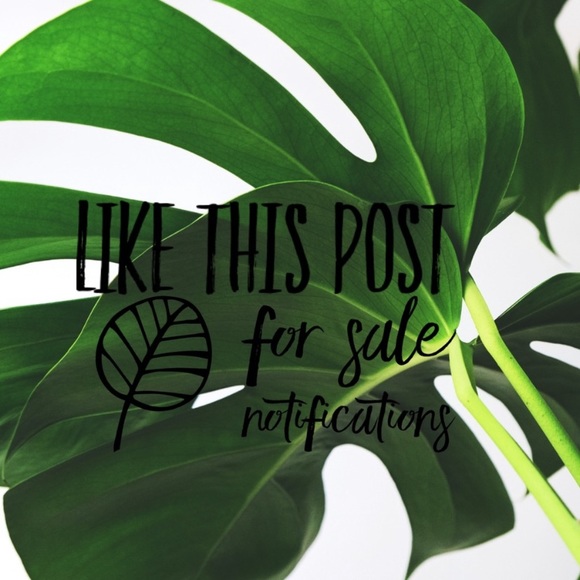 Meet your Posher, Thriftgaspar @thriftgaspar - Picture 7 of 9